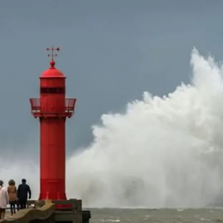 Petit Nid Sur La Cote *